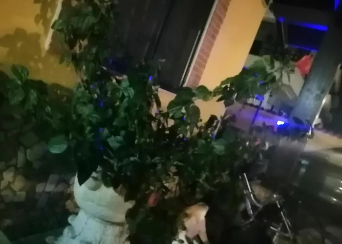 Eneahouse