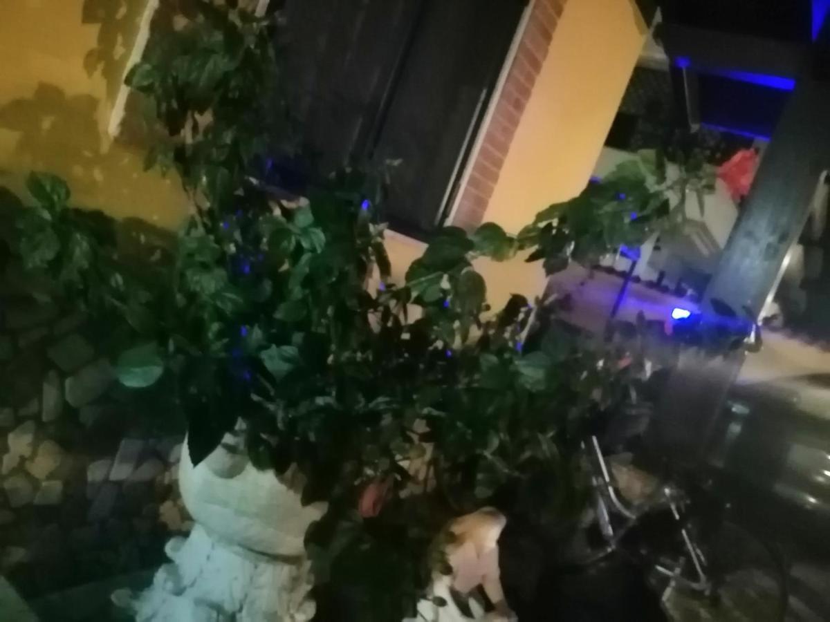 Eneahouse Guest house 2*
