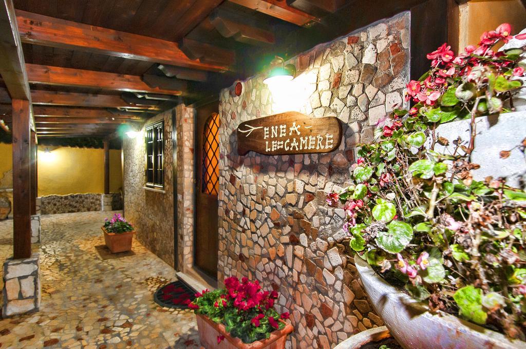 Eneahouse Guest house